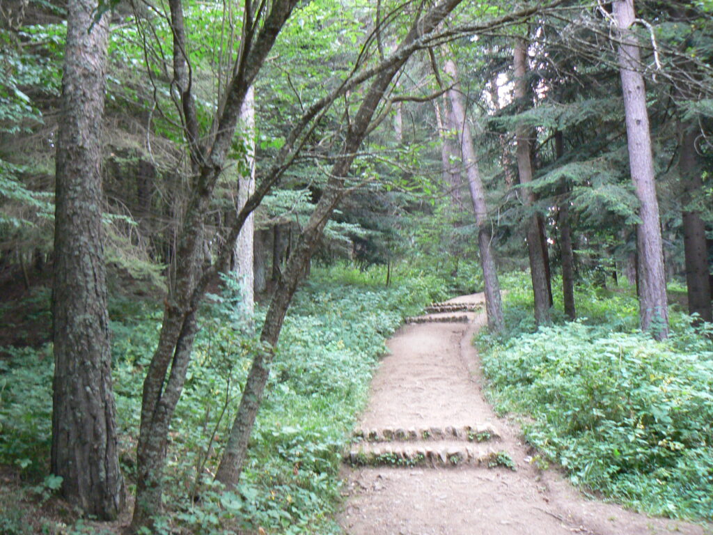 Stepanavan Dendropark