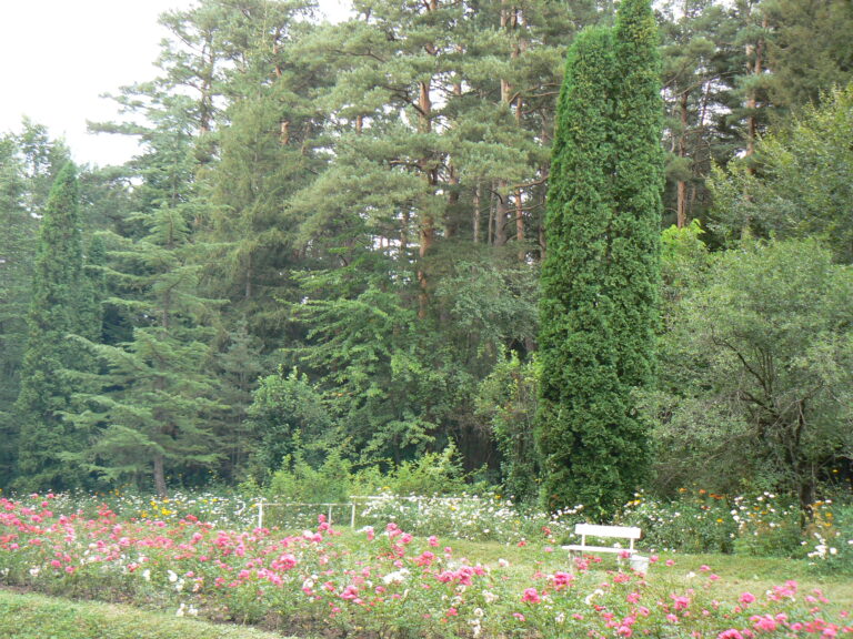 Stepanavan Dendropark