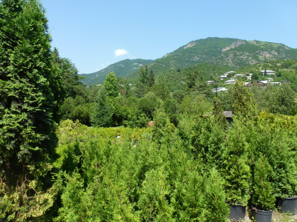 Ijevan Botanical Garden (Dendropark)